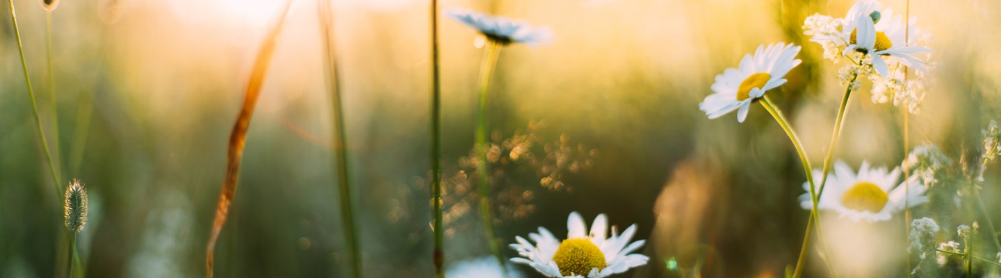 daiga ellaby YnNczu62rdk unsplash