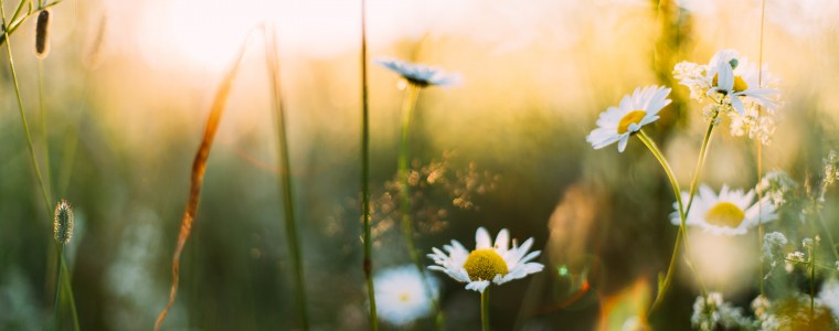 daiga ellaby YnNczu62rdk unsplash