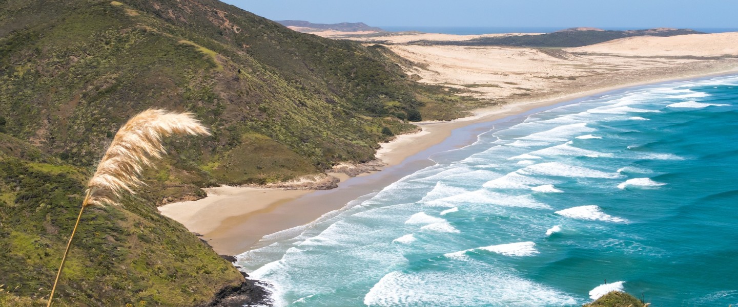 cape reinga 2412147 1920