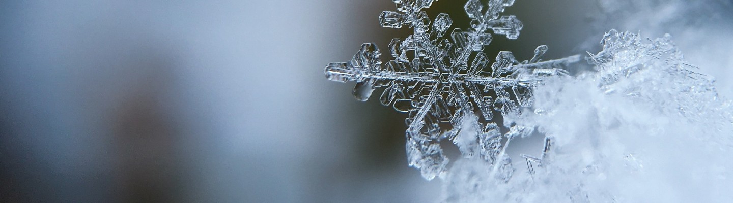snowflake pixabay